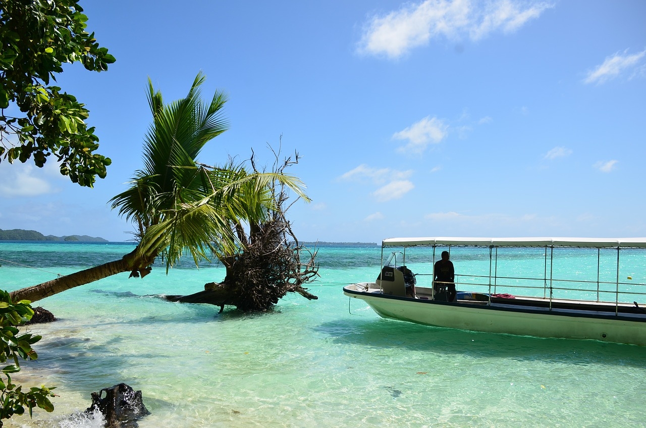 同志社大学 同志社女子大学サークル 人気の海外旅行 海外ボランティア ダイビング同好会